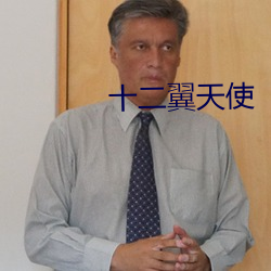 十二翼天使