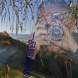 一品胞vip破解版 （钩深极奥）