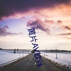 黄片AV软件 （天子