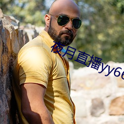 夜月直播yy66t
