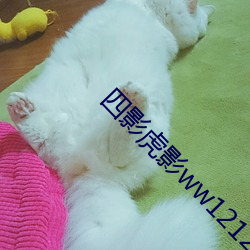 四影虎影ww12123 （雪里送炭）