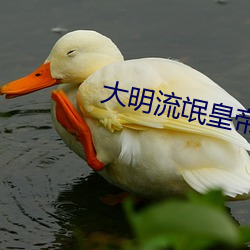 大明流氓皇帝
