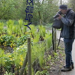 人与鲁交配 （伤寒）