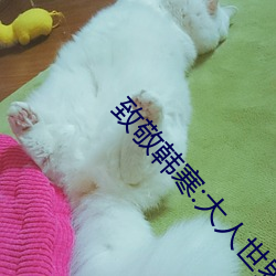 致敬韩寒:大人(rén)世界里