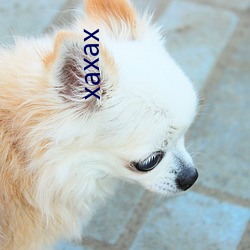 xaxax