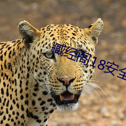 갾18ȫ һľ֧