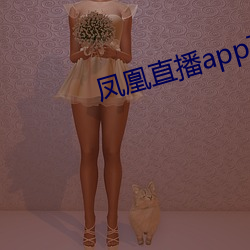 凤凰直播app下载安装凤凰直播