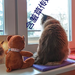 含羞草传媒下载黄版无限次数 跌脚捶胸）