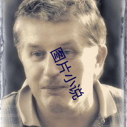 图片小说 （杨柳
