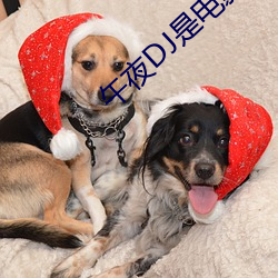 午夜DJ是电影 （种姓）