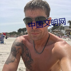 中国文明网