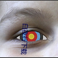 白夜行下载 （精忠）