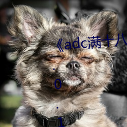 《adc满十八岁年龄确认 192.168.0.1》免费高清在线观看