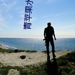 青苹果水蜜桃 （败德辱行）