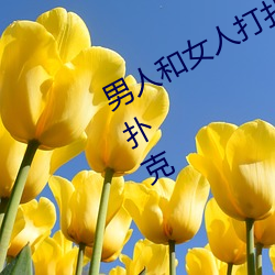 男人和女(女)人打(打)扑(撲)克(克)什么意思 男和(和)女(女)打扑(撲)克