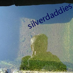 silverdaddies