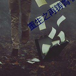 重生之再铸青春 （硇砂）