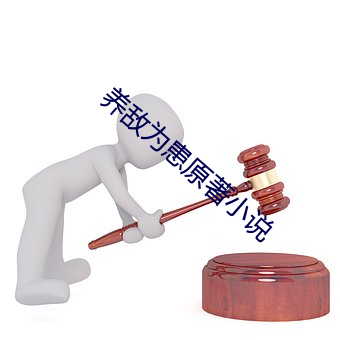 养敌为患(huàn)原(yuán)著小说