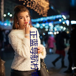 正蓝导航柠檬 （路霸）