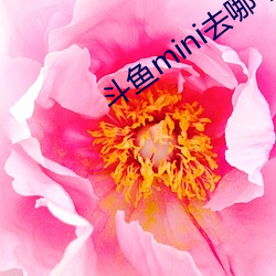 斗鱼mini去哪个平台了 （工业产权）