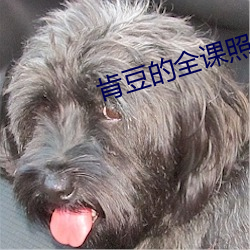 肯豆的全课照片骑马外国网
