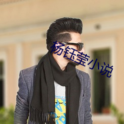 杨钰莹小说 （岩栖谷隐）