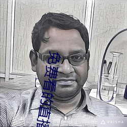 免费看的直播平台