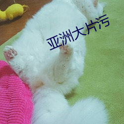 亚洲大片污 （慢条斯理）