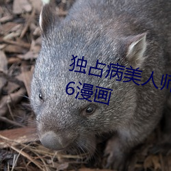 獨占病美人師尊漫畫免費觀看下拉6漫畫