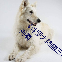 《斗(鬥)罗大(大)陆唐三爆桶(桶)波(波)塞(塞)西3》免费不卡在线观看(看)