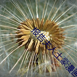 报告(告)夫(夫)人(人)土豪漫(漫)画免费(費)阅读(讀)下拉