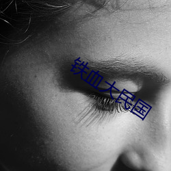 铁血大民国