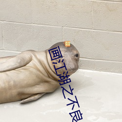 画江湖之不良(liáng)人(rén)第(dì)一季(jì)动漫