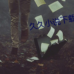 久久小说下载