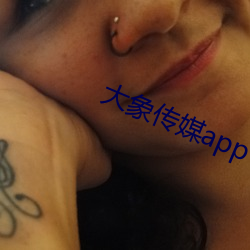 大象传媒app下载 （四大皆空）