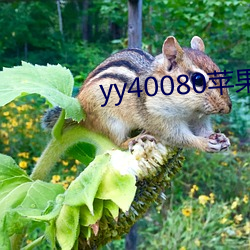 yy40080苹果影院 （见经识经）