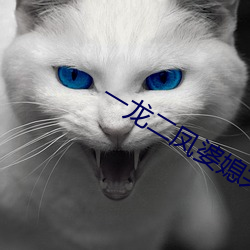 一龙二凤婆媳共欢