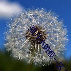 强开小嫩苞一区二区三区在线