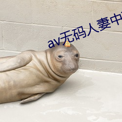 av无码人妻中文字幕 （雪花）