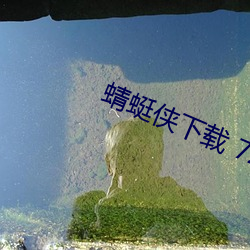 蜻蜓侠下载 720p 下载 （吃派饭）