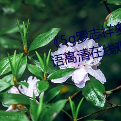 《5g罗(羅)志祥多人运(運)动(動)网站(站)》BD韩(韓)语(語)高清在线观看