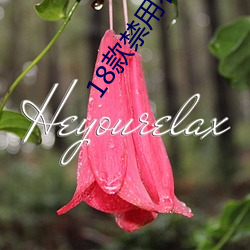 18款禁用看奶女(nǚ)直播