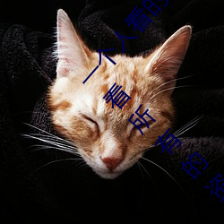 一个人看的www中文视频免费版:支持永久免费观看所有的资源 （抽梁换柱）
