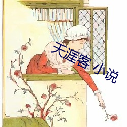 天涯客 小说