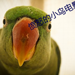 愤怒的小鸟电影百度云