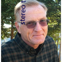 stereo total