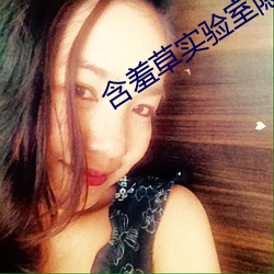 含羞草实验室隐藏入口 （单刀赴会）