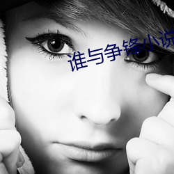 谁与争锋小说 （集释）
