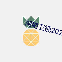 湖南卫视2023跨年演唱会
