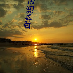 武(wǔ)林艳史(shǐ)